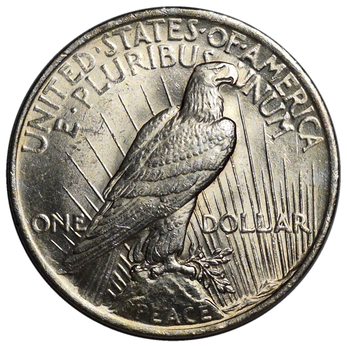 1922-$1-Peace-Dollar-#8---9-Of-142